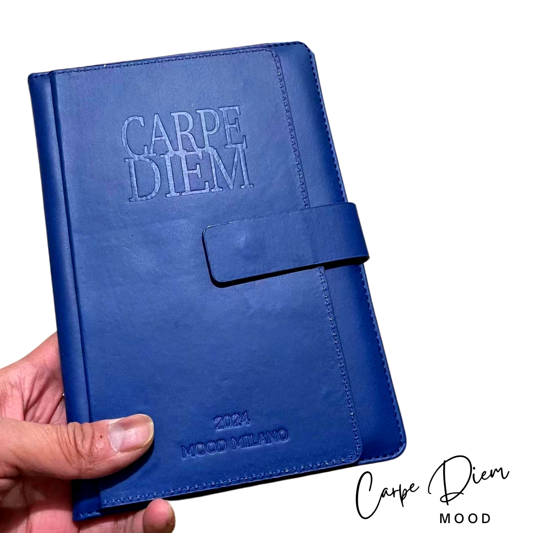 Carpe Diem Agenda 2024 Giornaliera Piccola 14,5x9 cm Verde Appuntamenti  appunti mesi lavoro casa Bagheria Palermo Casteldaccia Porticello Santa  Flavia Villabate Ficarazzi Altavilla Milicia Milano Torino Roma Napoli  Catania Messina